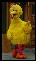 Bigbird00's Avatar